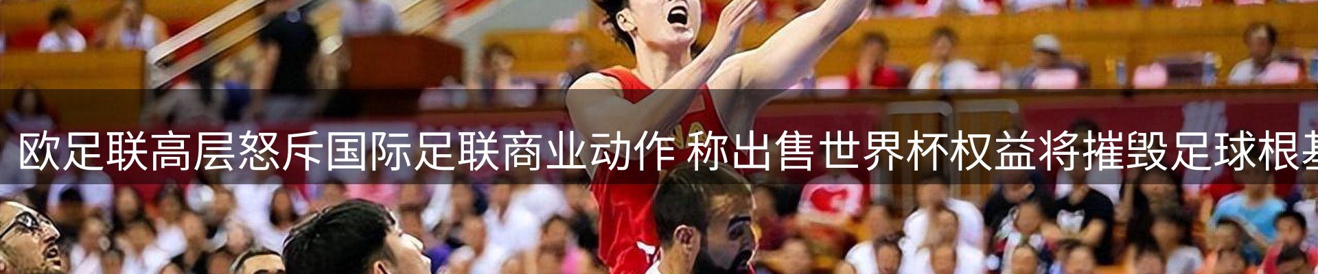 新闻资讯