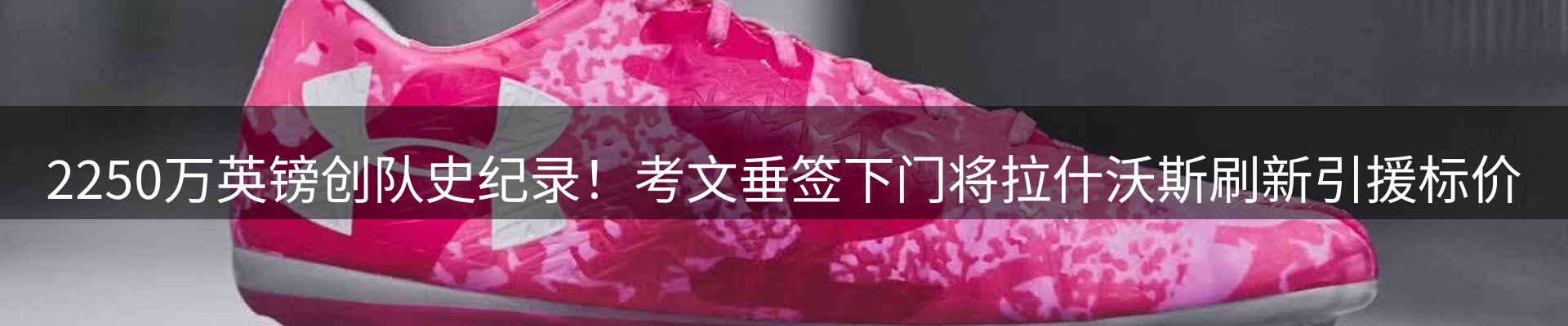 新闻资讯